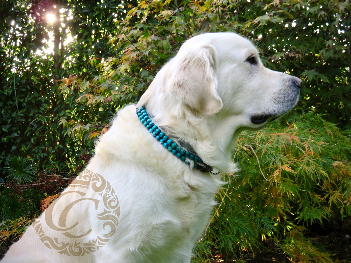 Dog collar Double Aquamarine | Dog Collars | Cat Collars | CollarCrafts | dogcollar | collar | hondenband | Kattenhalsband | bead dog collars | cat mood collar | beaded dog collar | beaded dog collars | wooden bead dog collars | alu max com dog collars | beaded collars for dogs | rainbow dog collars