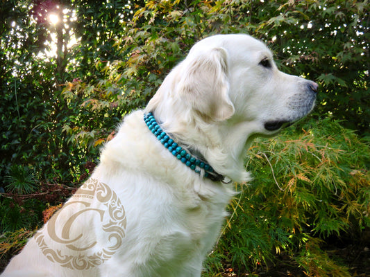 Dog collar Double Aquamarine | Dog Collars | Cat Collars | CollarCrafts | dogcollar | collar | hondenband | Kattenhalsband | bead dog collars | cat mood collar | beaded dog collar | beaded dog collars | wooden bead dog collars | alu max com dog collars | beaded collars for dogs | rainbow dog collars