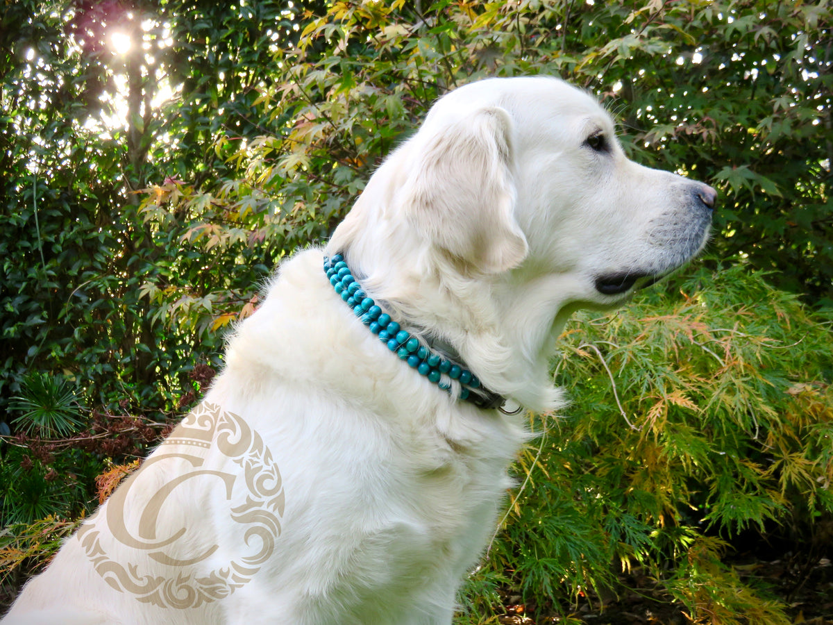 Dog collar Double Royal Blue Mini | designer dog collar | honden halsband | collarcrafts | dogcollar | collar | wedding dog collar | collar | bead dog collars | cat mood collar | luxury dog collar | beaded dog collars | wooden bead dog collars | alu max com dog collars | beaded collars for dogs | royal blue dog collars | collarcrafts