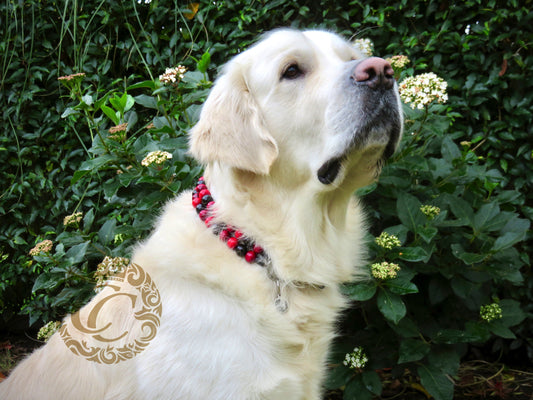 handmade dog collar collarcrafts | dogcollar | collar | dogcollar | bead dog collars | mood collar | beaded dog collar | beaded dog collars | wooden bead dog collars | alu max com dog collars | beaded collars for dogs | rainbow dog collars | collarcrafts