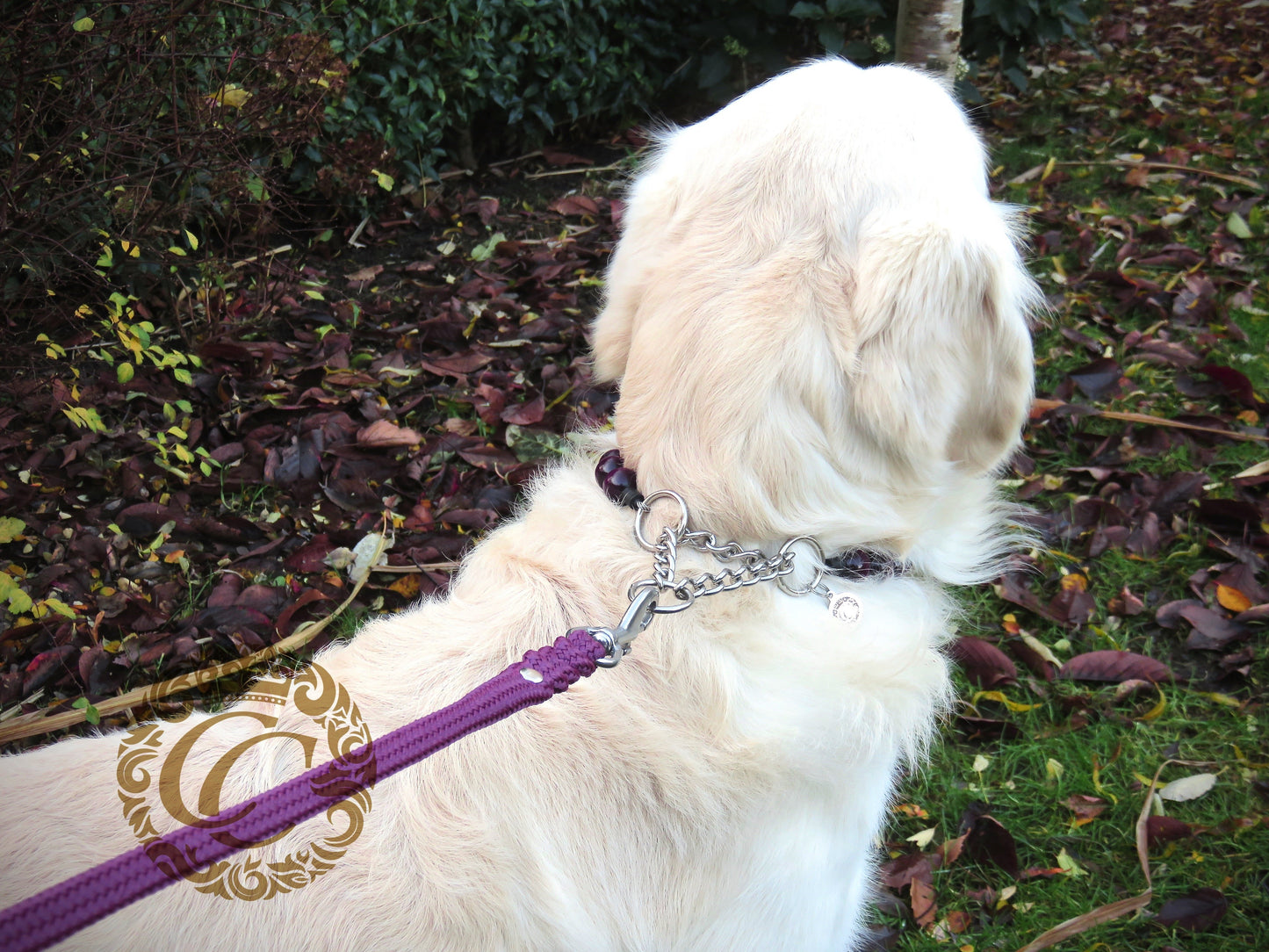 Handmade dog leash CollarCrafts / paracord dog leash | dogcollar | collar | hondenhalsband | hondenband | Kattenhalsband | bead dog collars | cat mood collar | beaded dog collar | beaded dog collars | wooden bead dog collars | alu max com dog collars | beaded collars for dogs | rainbow dog collars | collarcrafts